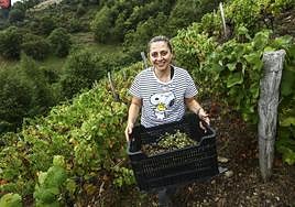 La bodeguera Beatriz Pérez, con uvas ya vendimiadas en una de sus parcelas, que se caracterizan por lo empinado del terreno y la alta calidad de sus vides.