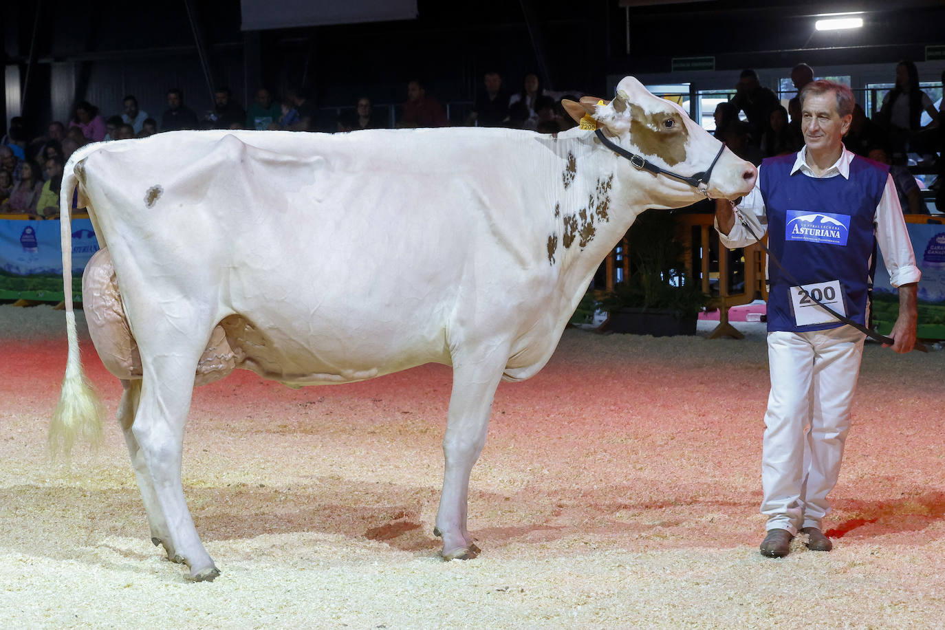 Las mejores imágenes de la segunda jornada de Agropec