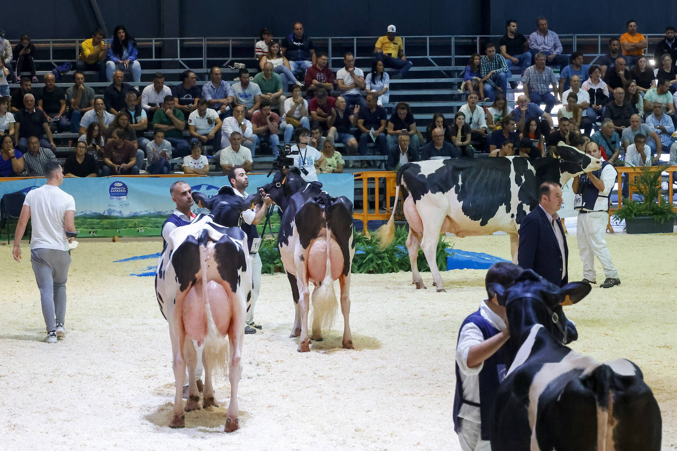 Las mejores imágenes de la segunda jornada de Agropec