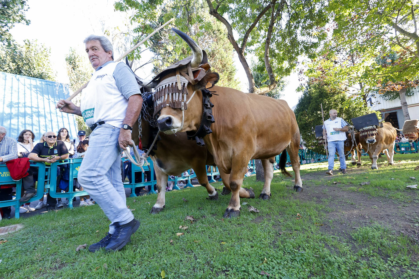 Las mejores imágenes de la segunda jornada de Agropec