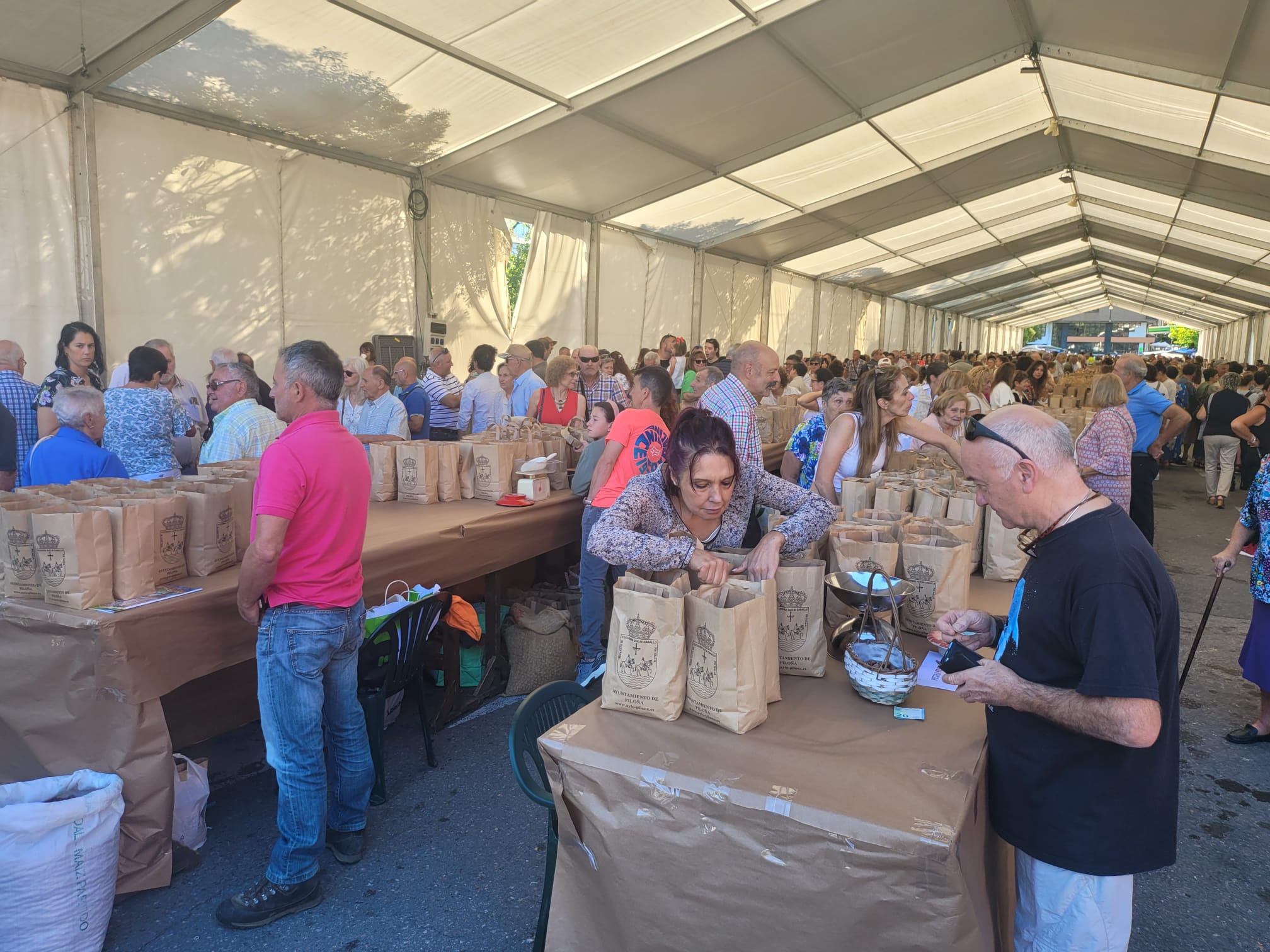 Infiesto festeja la cosecha de avellana