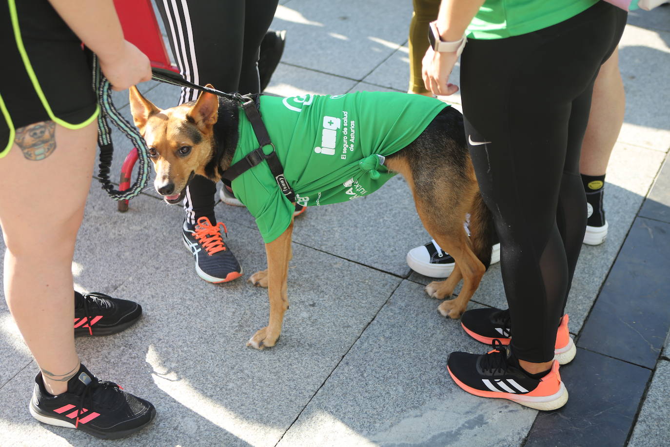 Avilés se tiñe de verde con cientos de personas &#039;en marcha&#039; contra el cáncer