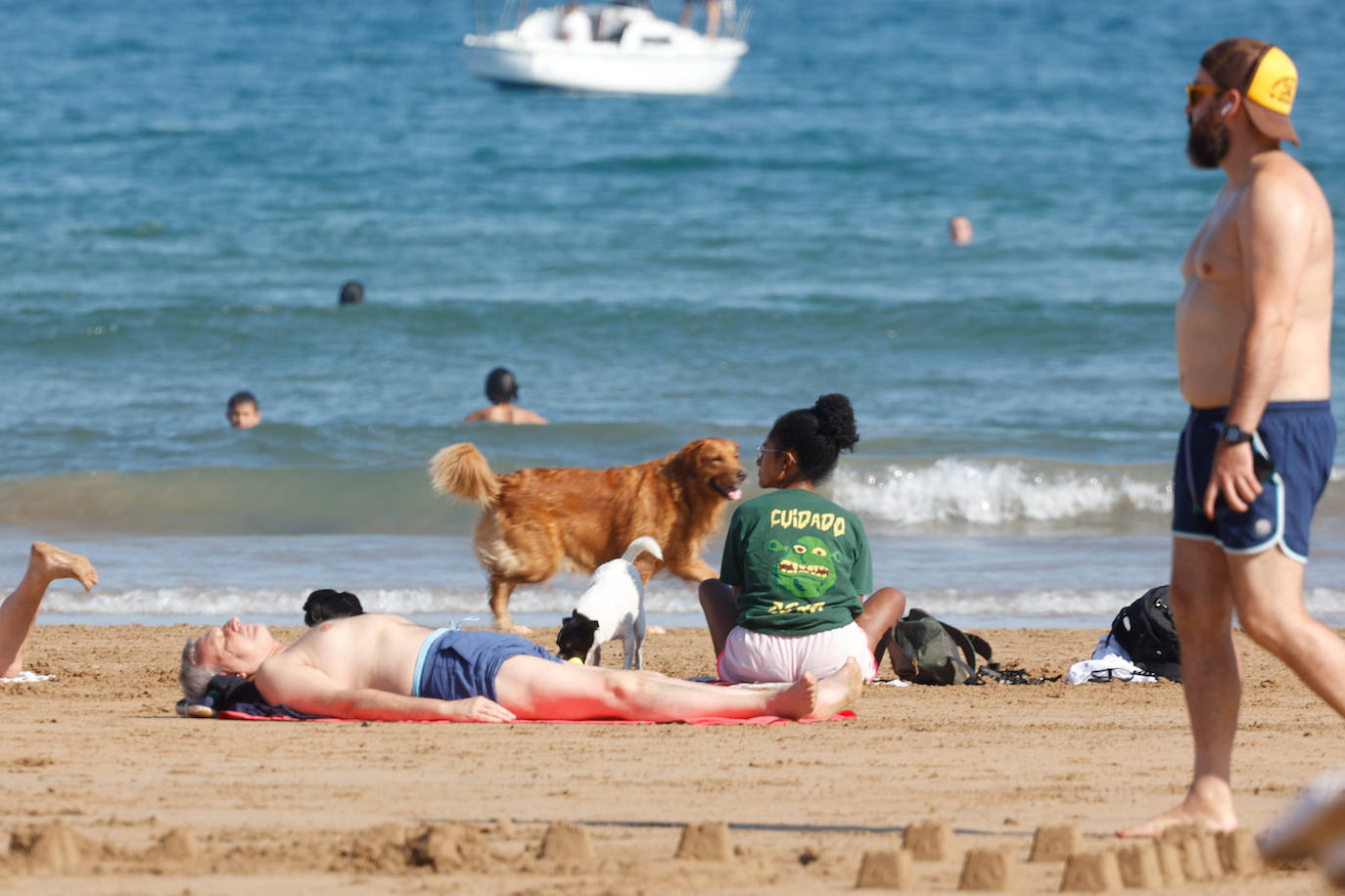 Los perros vuelven a la playa de San Lorenzo
