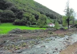 Talan la mayoría de árboles y arbustos de la ribera del río San Isidro en Felechosa
