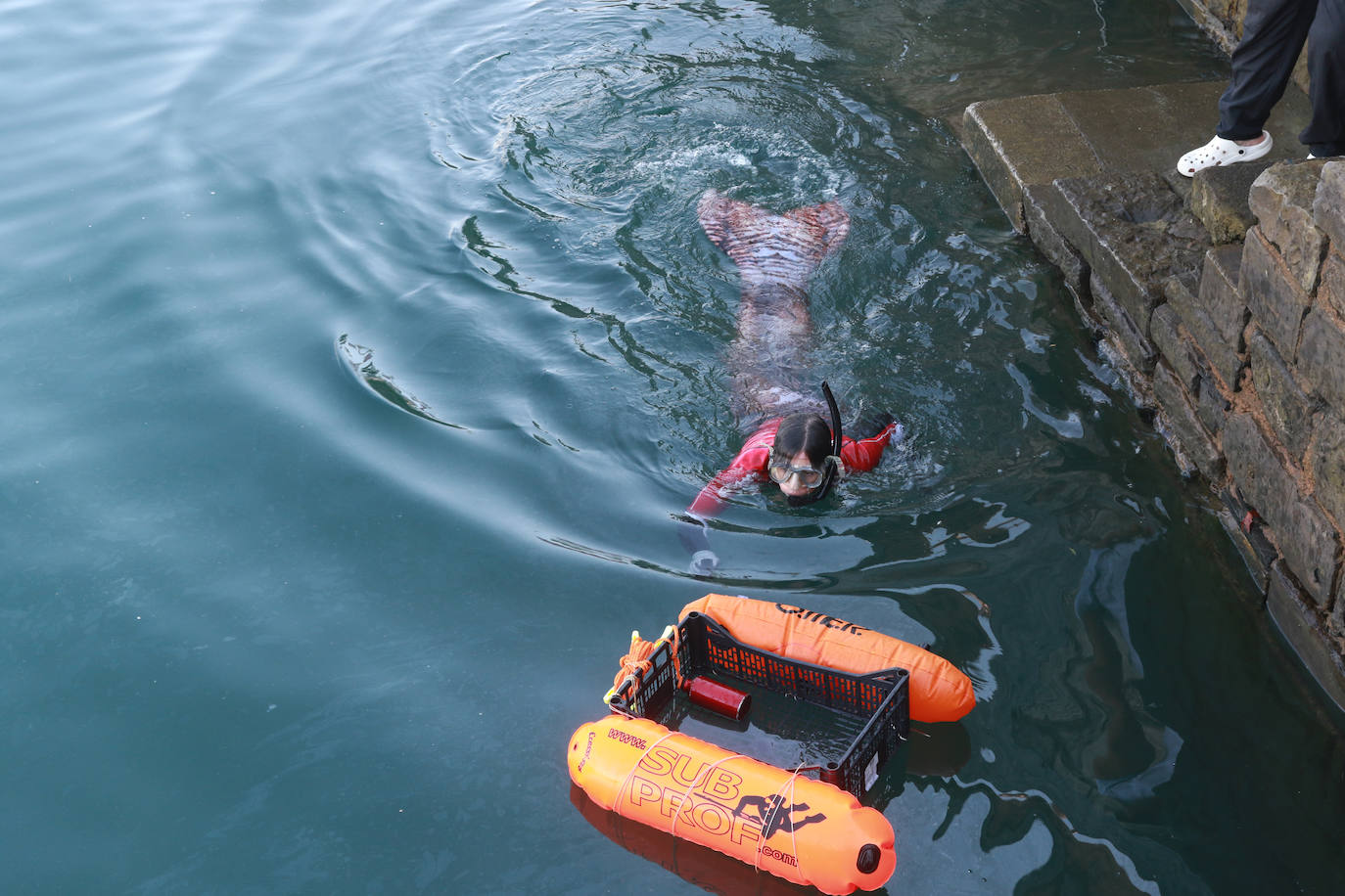 Lo que se esconde bajo el mar en el Puerto Deportivo gijonés