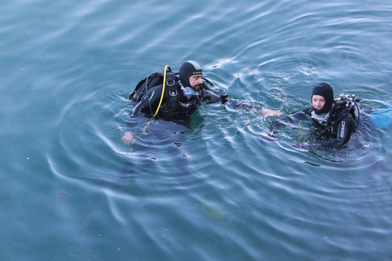 Lo que se esconde bajo el mar en el Puerto Deportivo gijonés