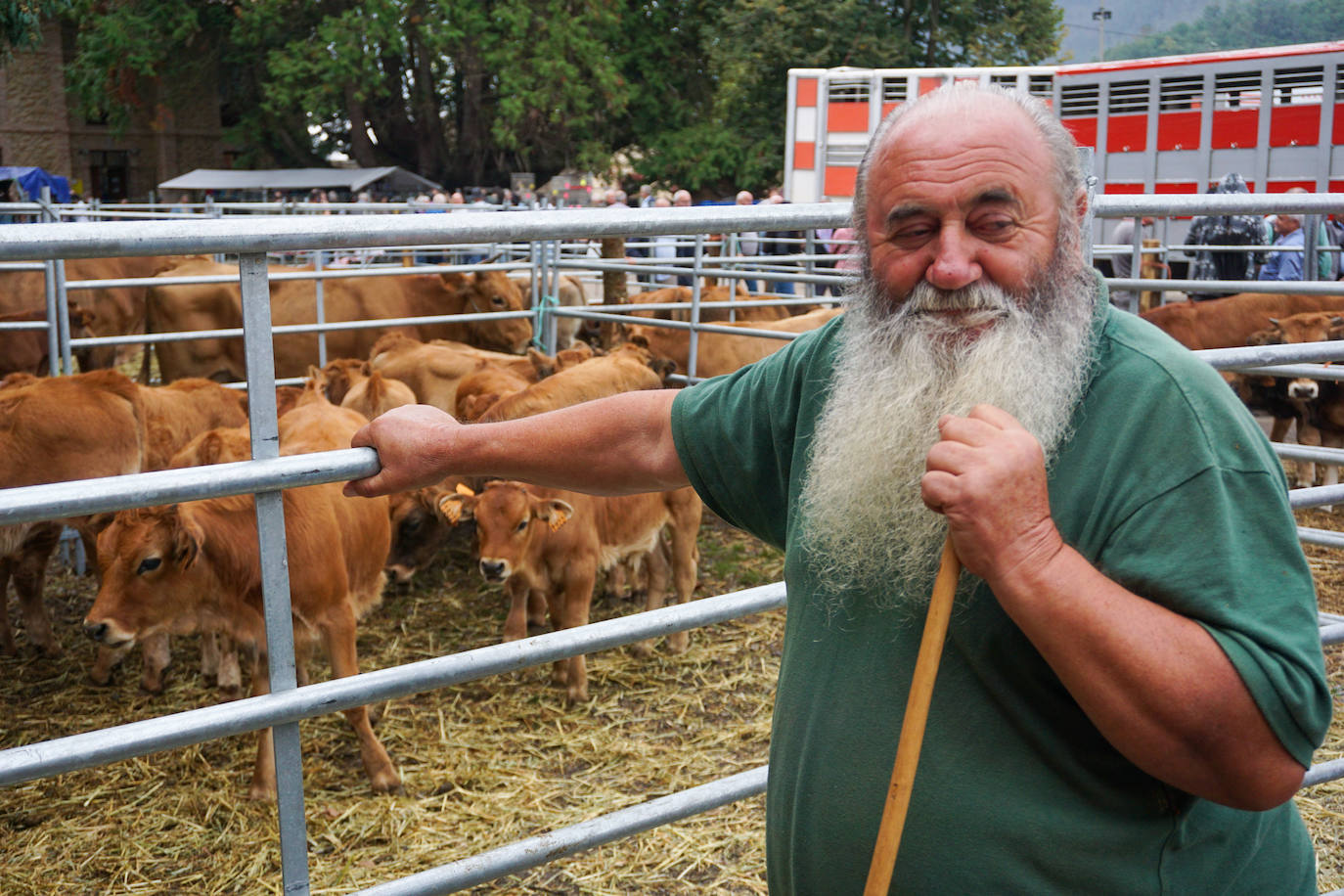 1.500 reses en la feria ganadera de Santa Teresa
