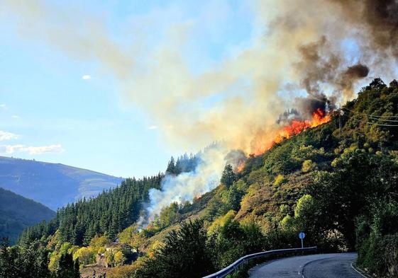 Un foco en Cangas del Narcea, el pasado martes.