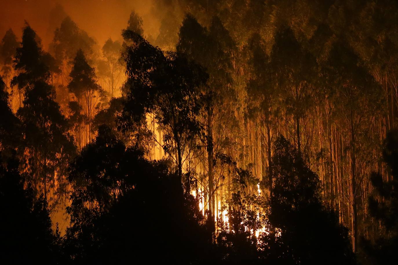 Un pavoroso incendio en Lugo obligar a cerrar la autovía del Cantábrico