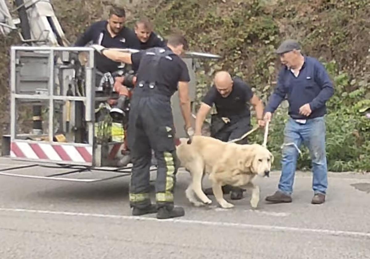 'Pastor' baja de la grúa con la que fue rescatado.