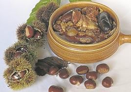 Asturias, paraíso de castañas