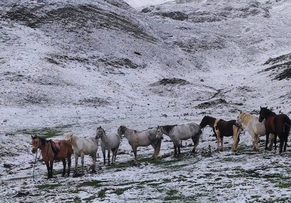 Imagen principal - Somiedo. 