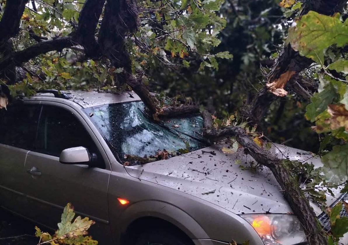 Las fuertes rachas de viento dejan destrozos por toda Asturias: las imágenes del temporal