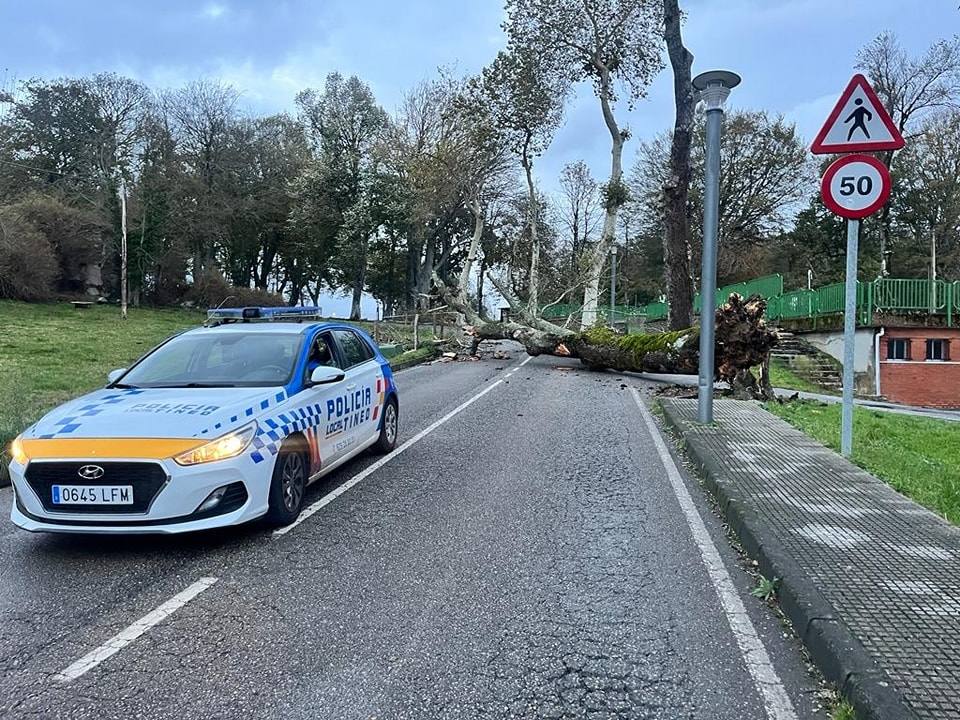 Las fuertes rachas de viento dejan destrozos por toda Asturias: las imágenes del temporal