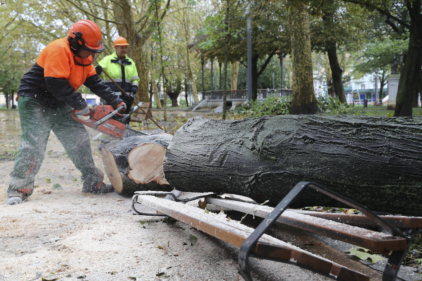 Las fuertes rachas de viento dejan destrozos por toda Asturias: las imágenes del temporal