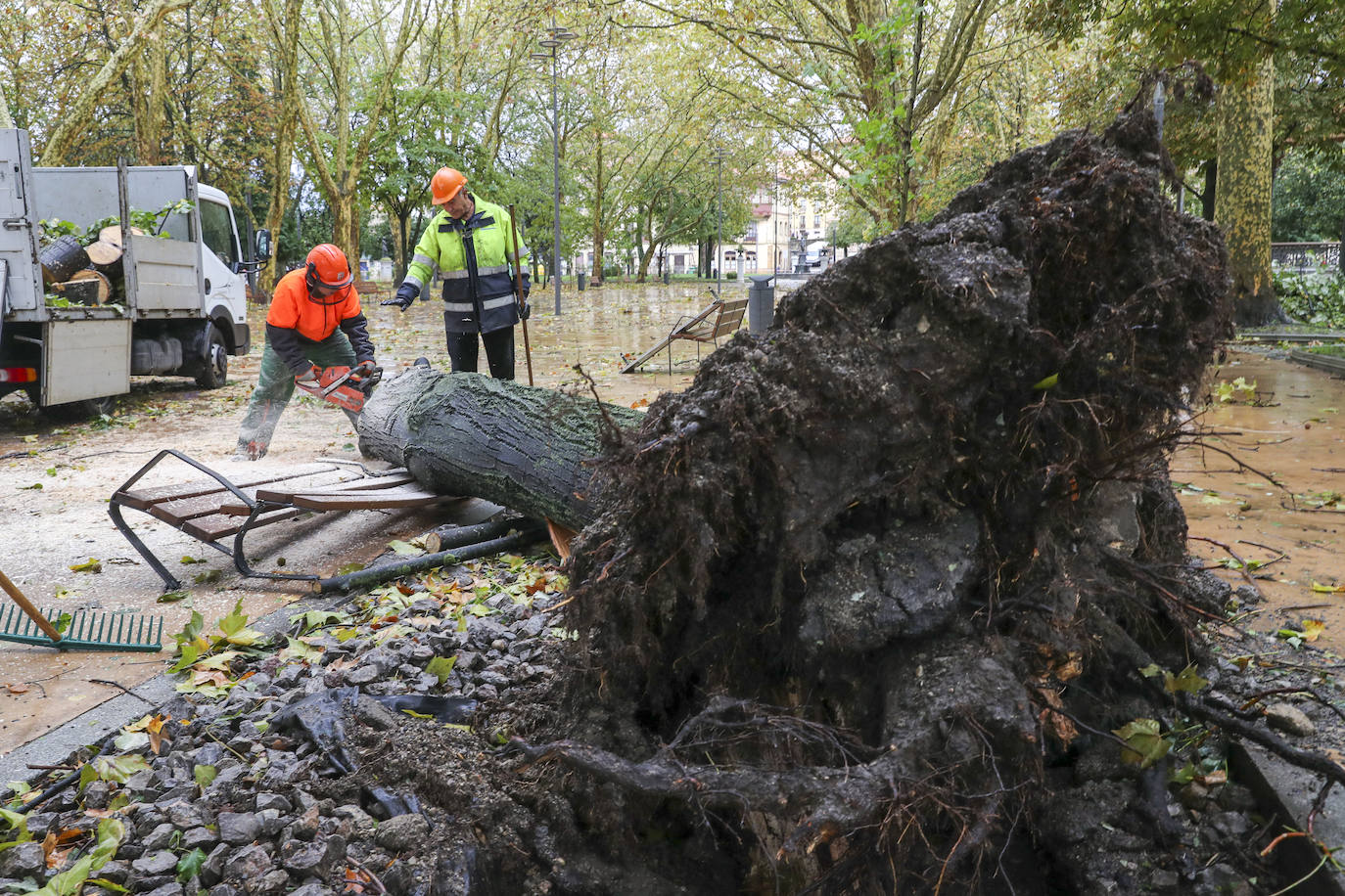 Las fuertes rachas de viento dejan destrozos por toda Asturias: las imágenes del temporal