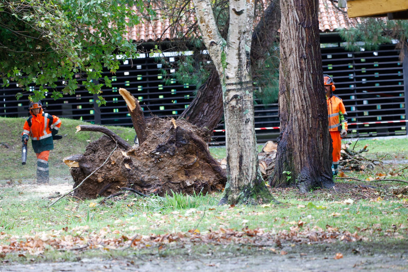 Las fuertes rachas de viento dejan destrozos por toda Asturias: las imágenes del temporal