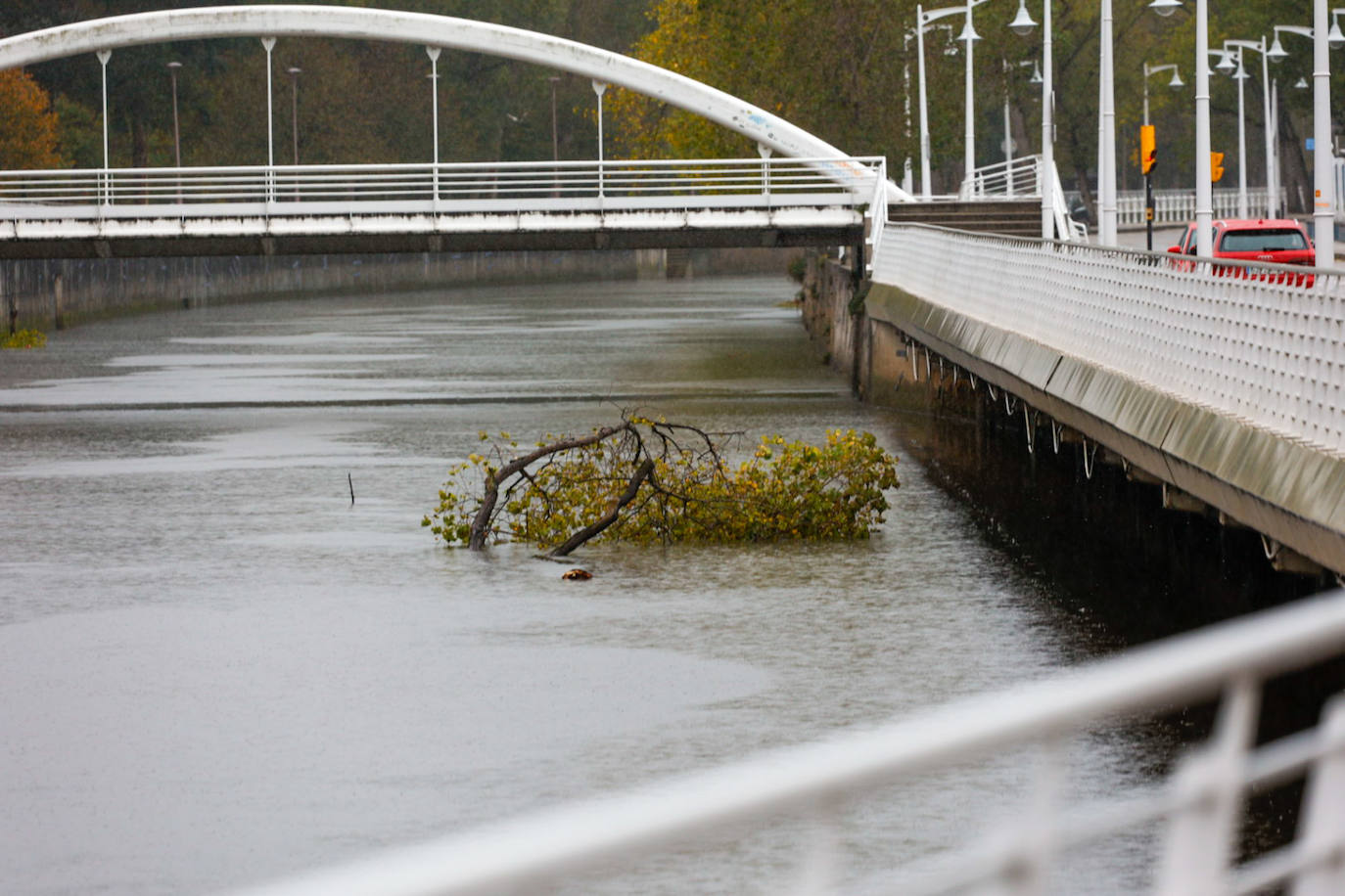 Las fuertes rachas de viento dejan destrozos por toda Asturias: las imágenes del temporal