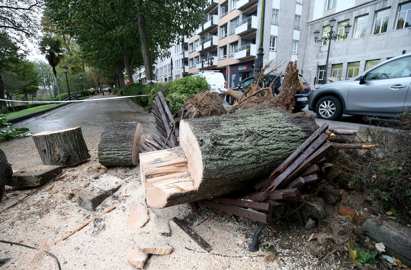 Las fuertes rachas de viento dejan destrozos por toda Asturias: las imágenes del temporal