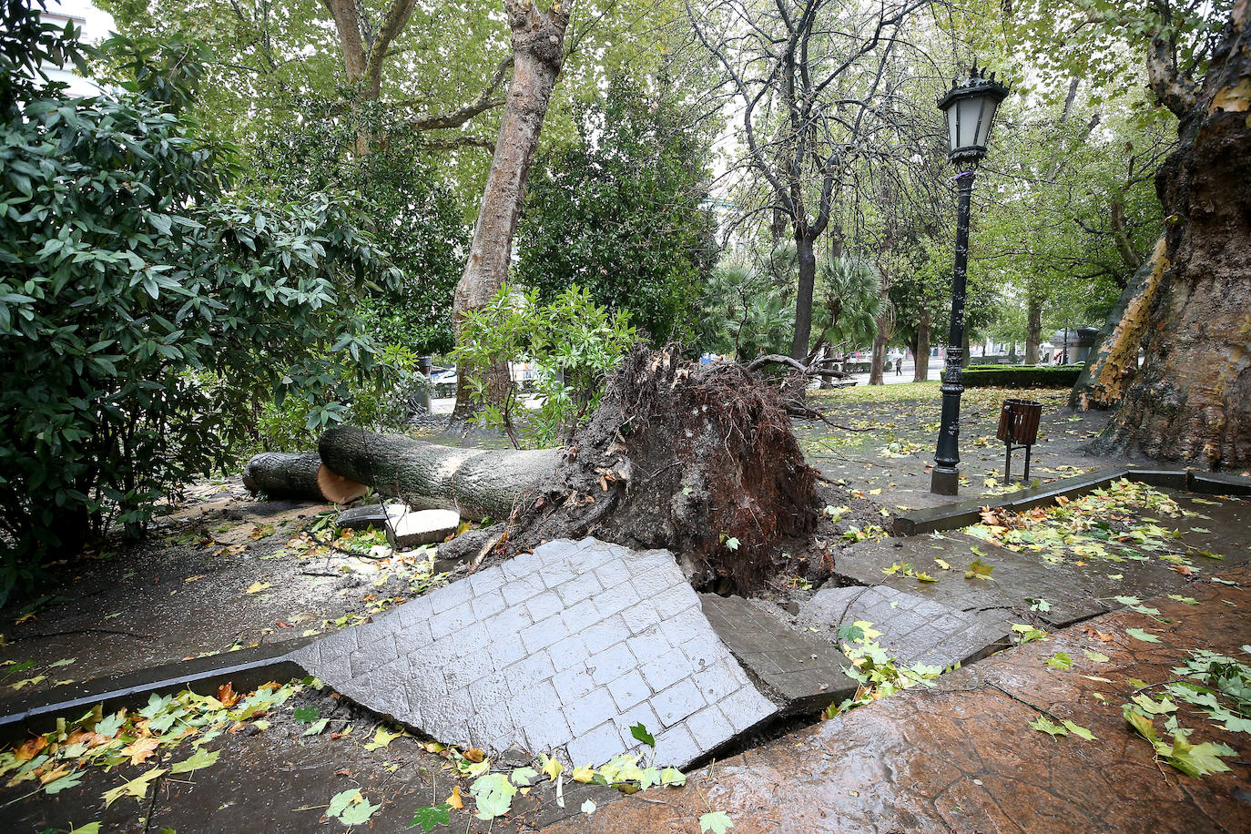 Las fuertes rachas de viento dejan destrozos por toda Asturias: las imágenes del temporal