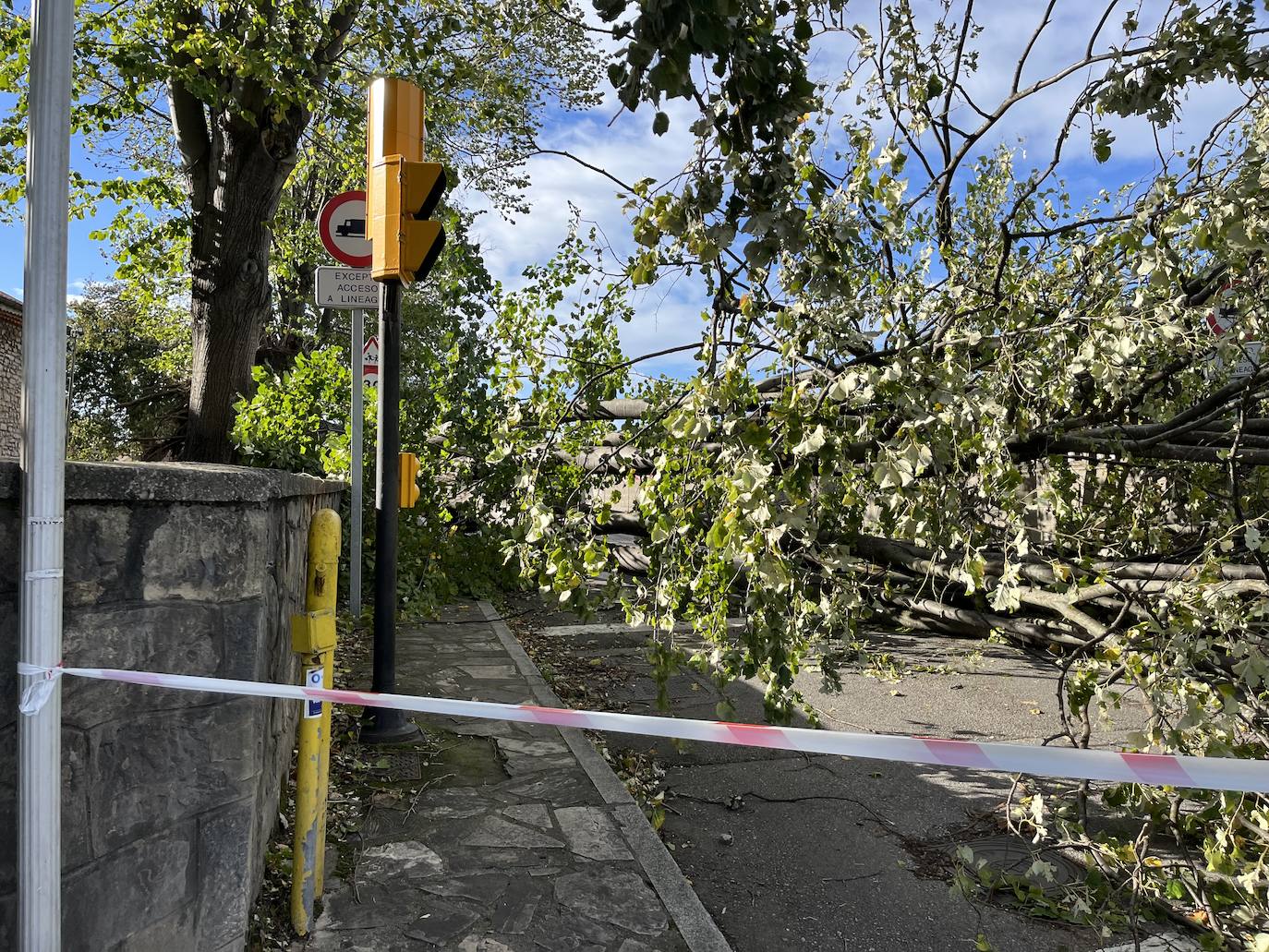 Las imágenes de los daños que deja la borrasca &#039;Domingos&#039; a su paso por Asturias