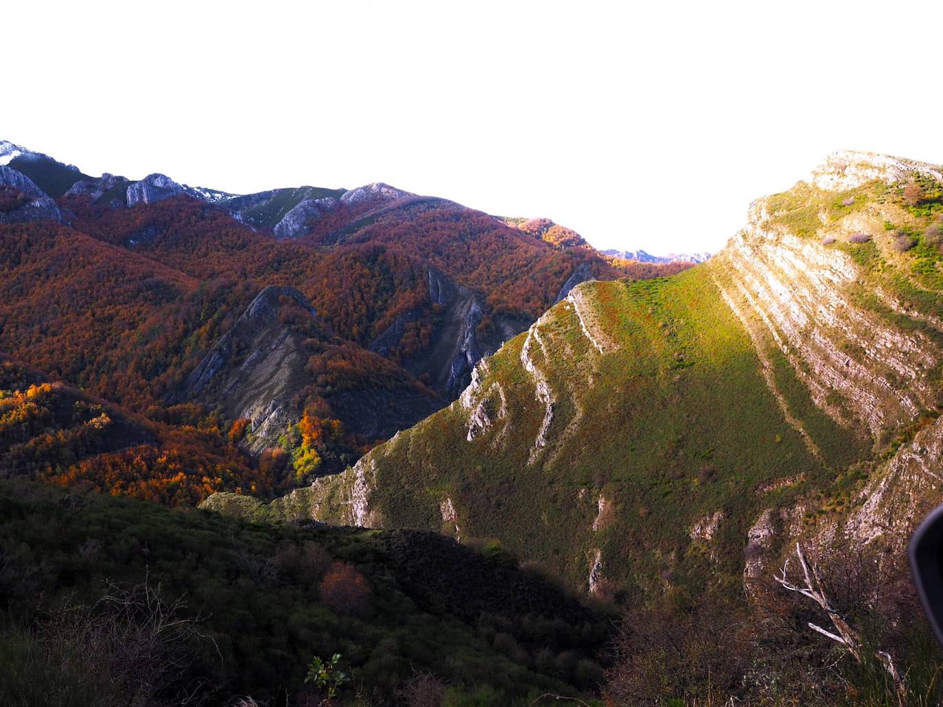 Las espectaculares imágenes otoñales en las brañas de Somiedo