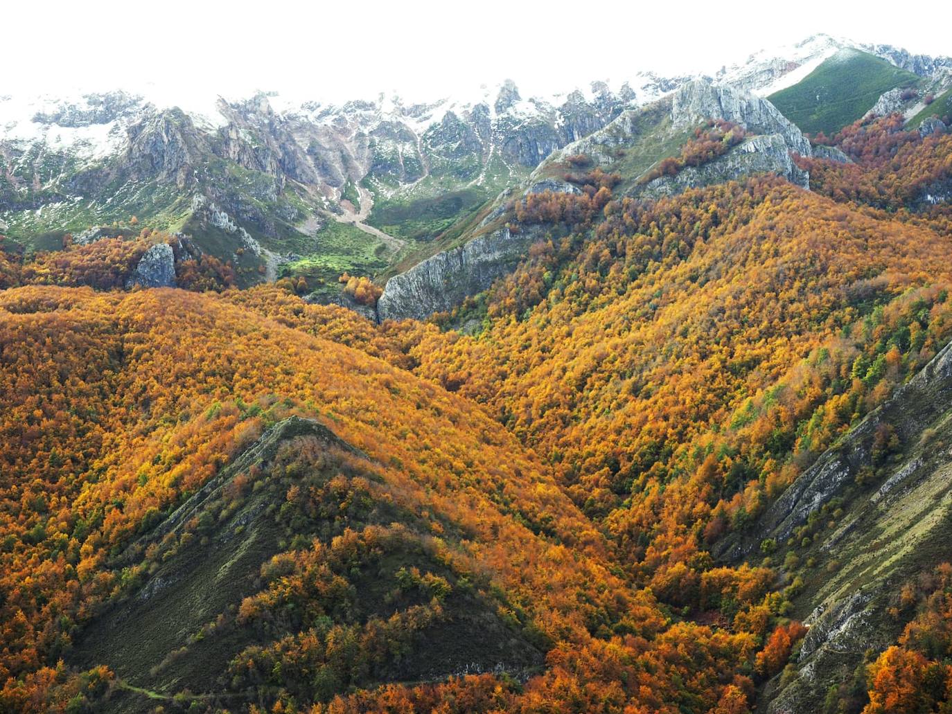 Las espectaculares imágenes otoñales en las brañas de Somiedo