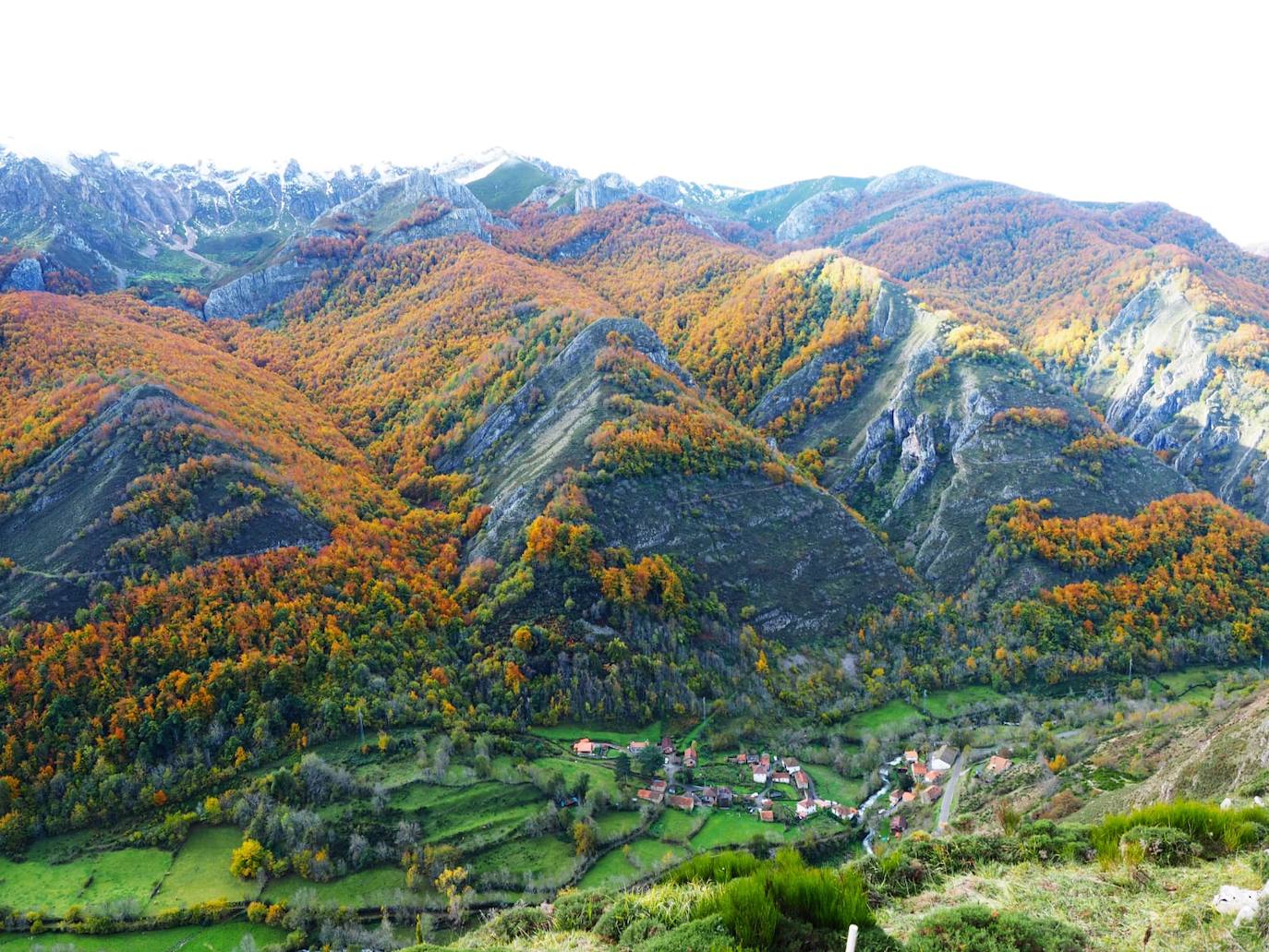 Las espectaculares imágenes otoñales en las brañas de Somiedo