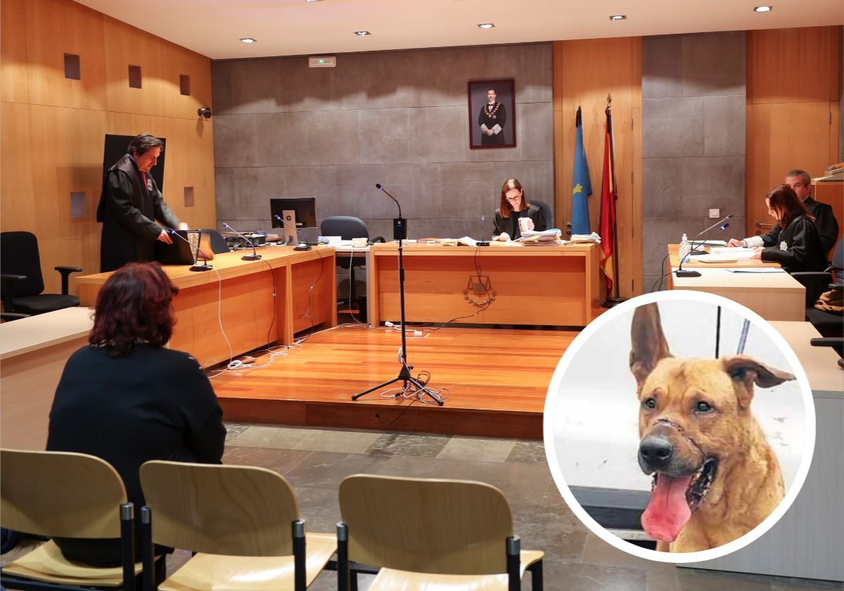 La acusada, durante el juicio.