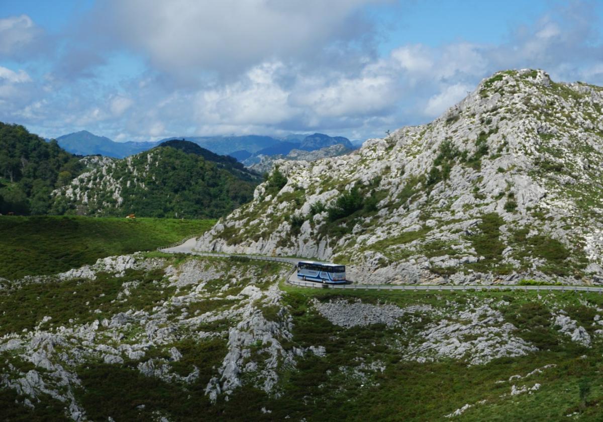 Un bus del plan de transporte a los Lagos de Covadonga circula por el tramo del Mirador de la Reina.