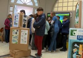 Estudiantes IES Doctor Fleming crean juegos para cuidar el planeta