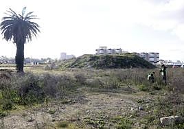 Operarios realizan mediciones en los solares donde se desarrollará el proyecto San Lorenzo 20, de la constructora Avintia.