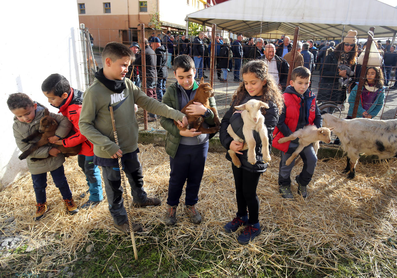 La feria del ganado de Cabañaquinta, en imágenes