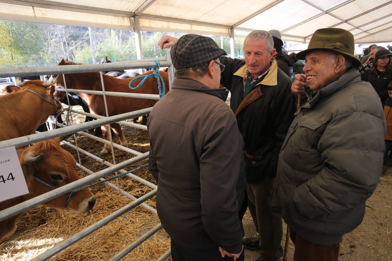 La feria del ganado de Cabañaquinta, en imágenes