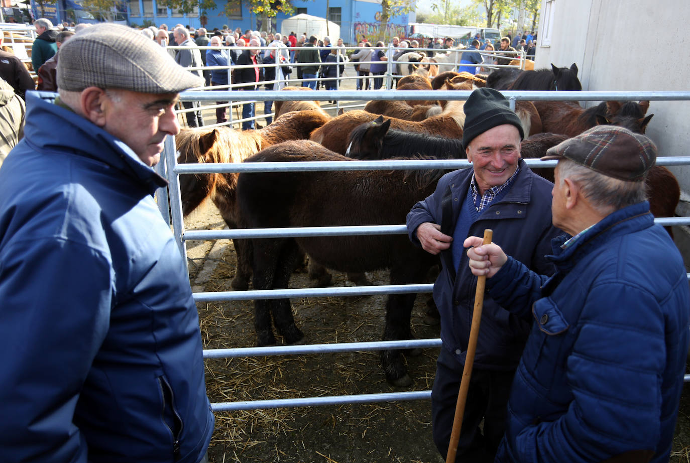 La feria del ganado de Cabañaquinta, en imágenes