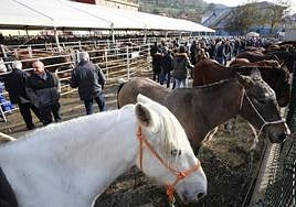 La cabaña equina impulsa el mejor Mercaón en diez años
