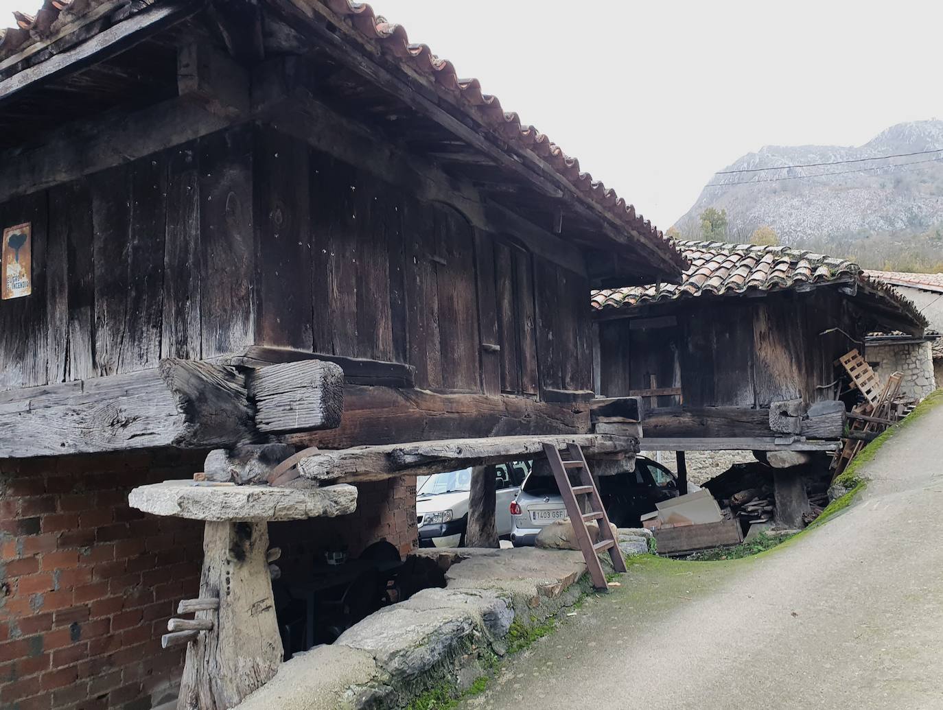 Una pista forestal que parte de Soto de Lario es el siguiente trecho a seguir