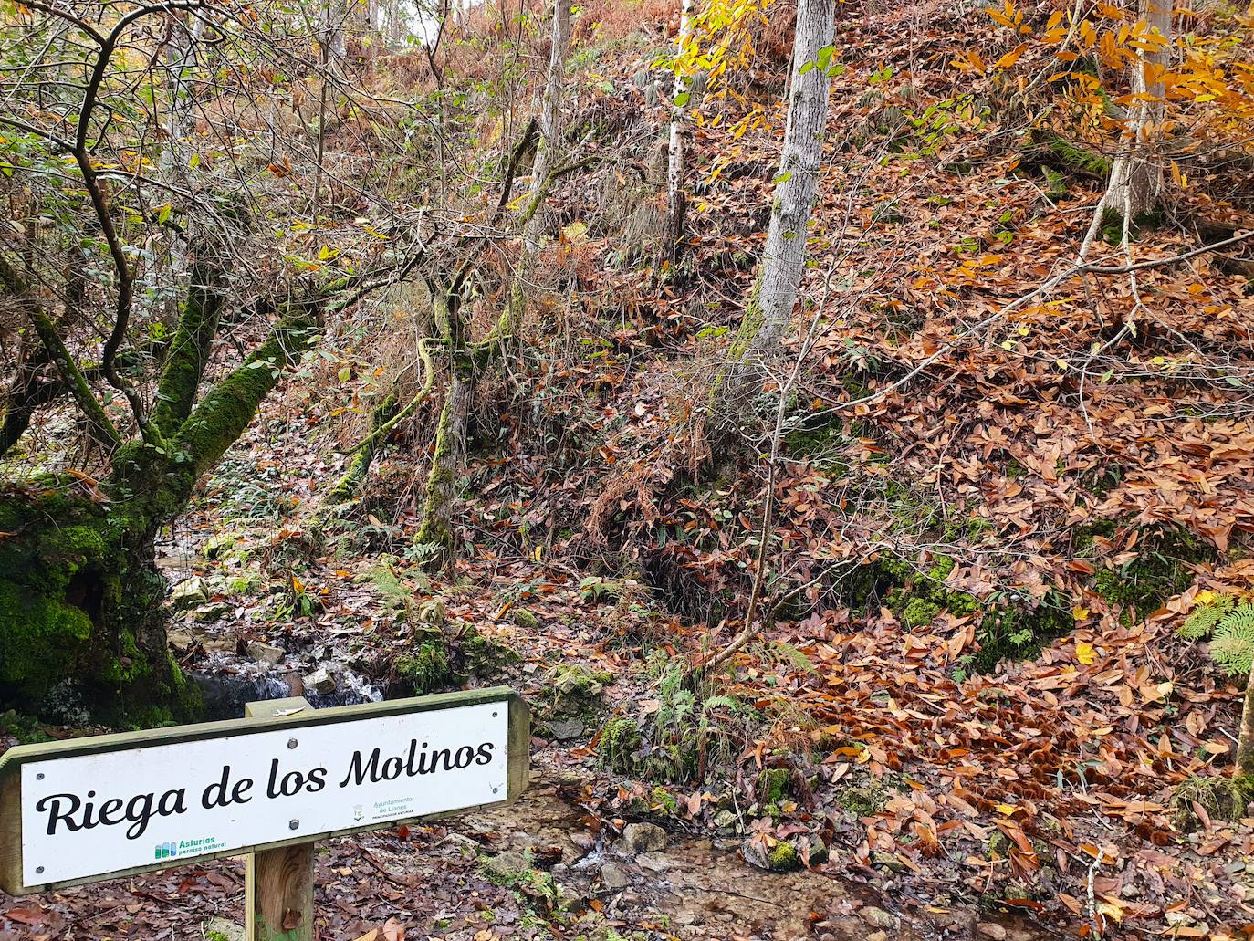 Los molinos, las fuentes, los puentes de piedra y los lavaderos también abundan en la senda del Valle Invisible, bien abundante en aguas