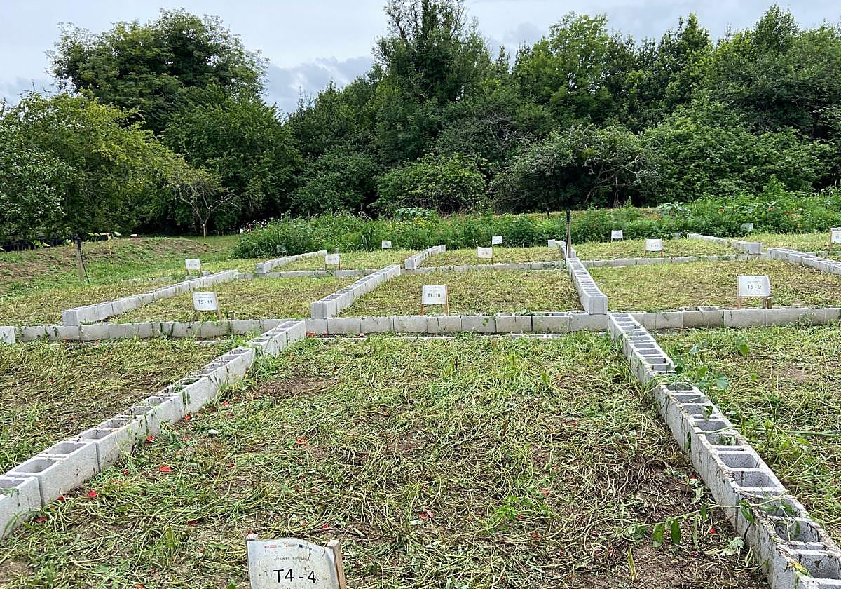 Parcelas experimentales del Botánico con una diferencia de un mes.