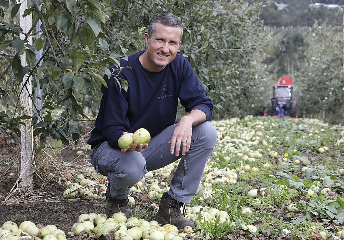 Daniel Exner, en una de las parcelas de Finca Gallinal, durante las labores de cosecha de este año.