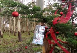 El pino decorado en Rodiles y la 'caja de los deseos'.