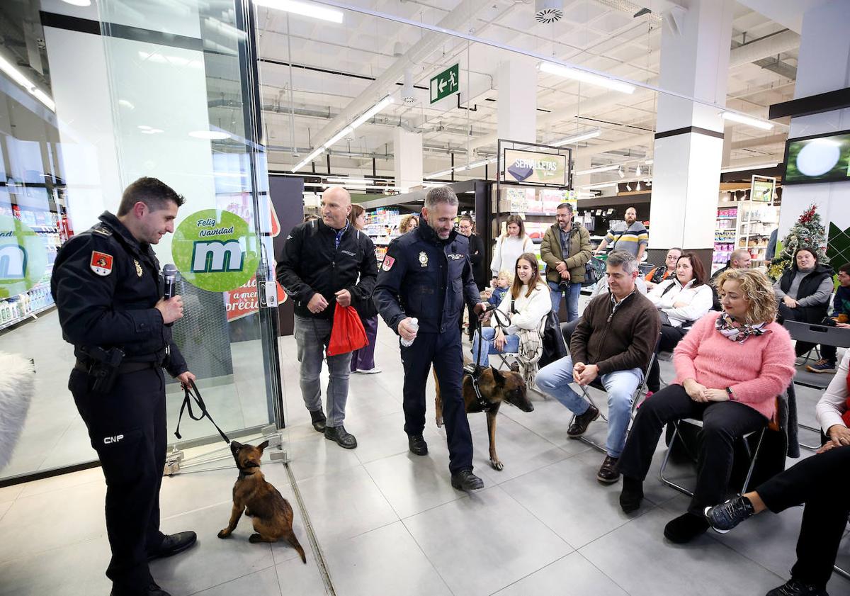 Imagen principal - El perro policía &#039;Bala&#039;, de dos meses, junto con su veterano compañero enseñan su labor en Parque Principado