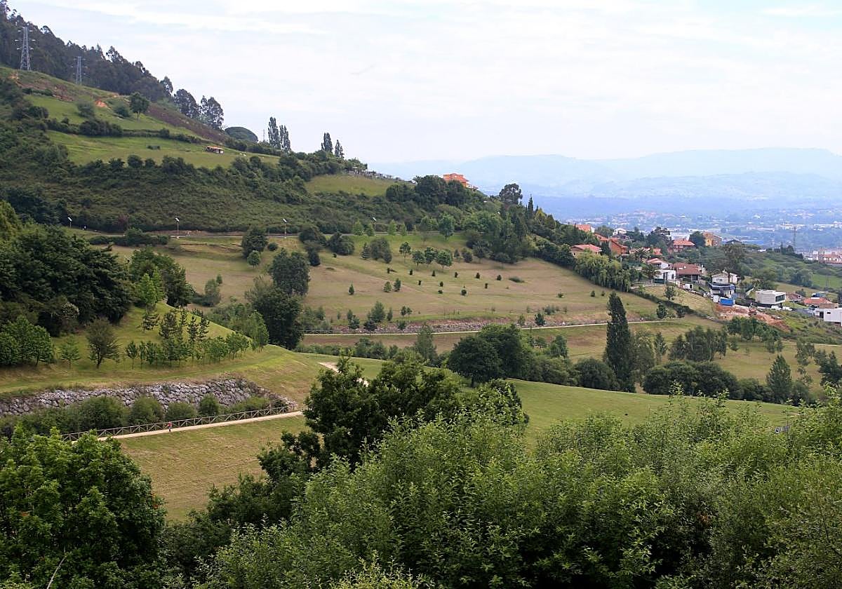 Una vista desde Ciudad Naranco de la falda del monte, una de las zonas por las que está previsto el paso de la Ronda Norte entre San Claudio y La Corredoria.