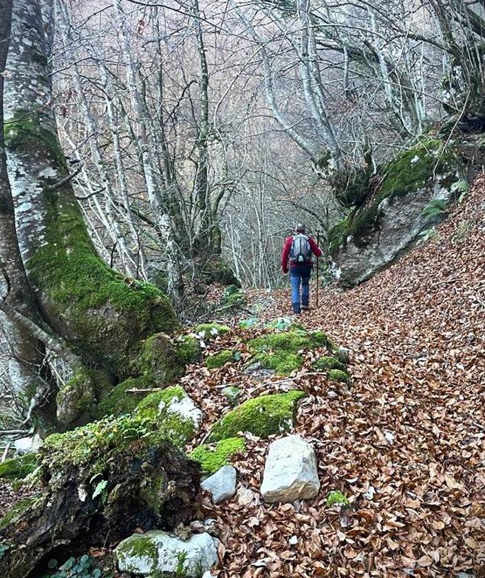 Imagen secundaria 2 - Laderas del pico Cabeza del Arco/ Cumbre Cabeza del Arco, mirando al Retriñón/ Tramo de bosque de hayas 