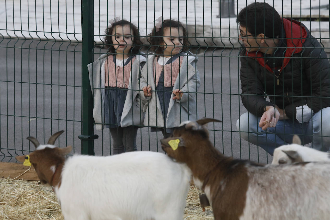 Fotos: Mercaplana se despide de Gijón por todo lo alto