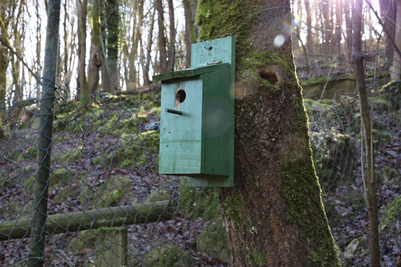 Fotos: El triste final del zoo de Cangas