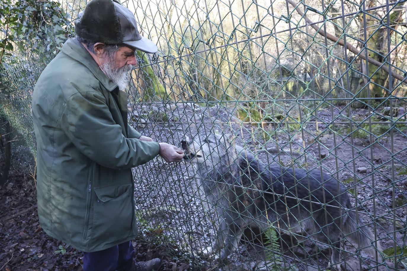 Fotos: El triste final del zoo de Cangas