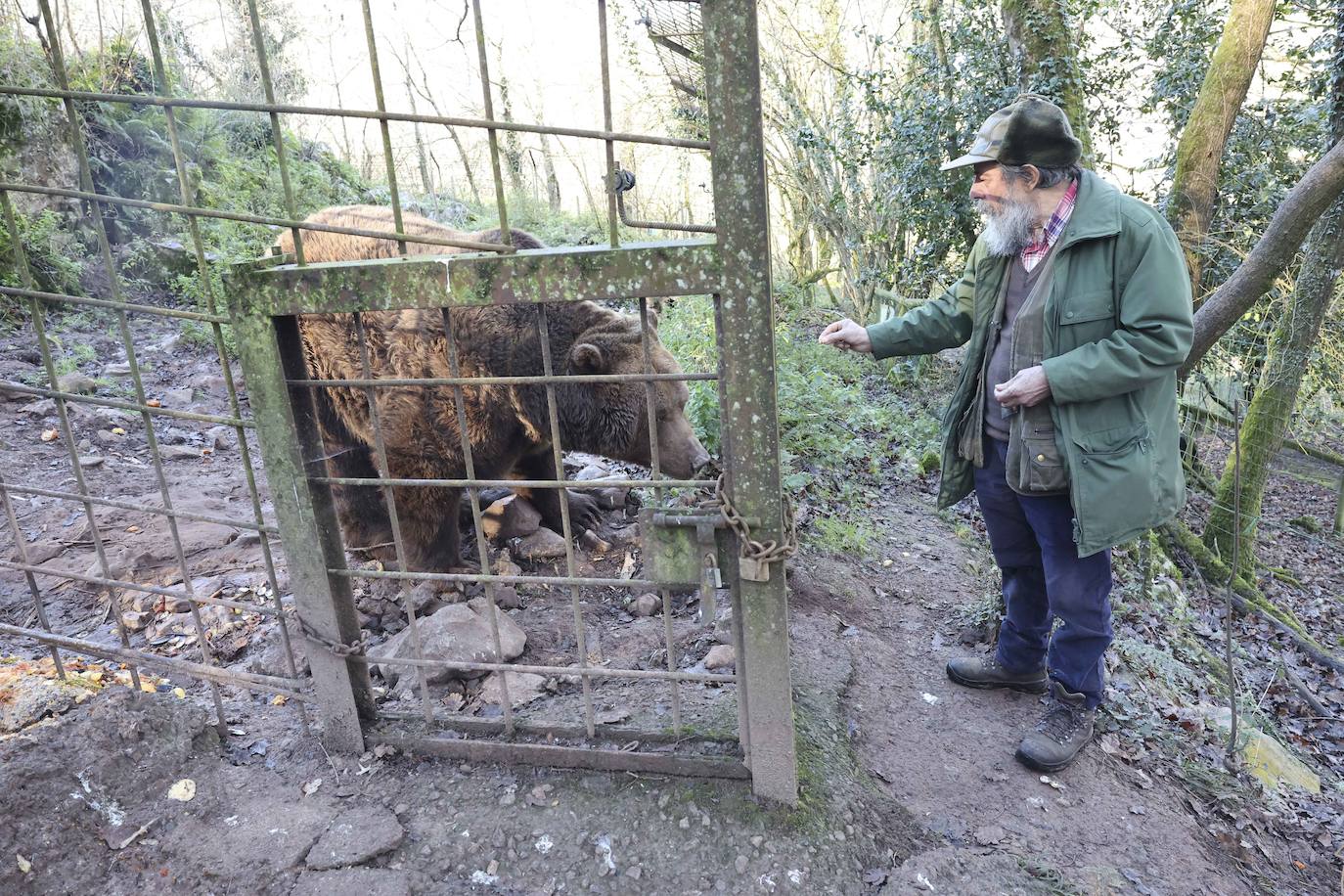 Fotos: El triste final del zoo de Cangas
