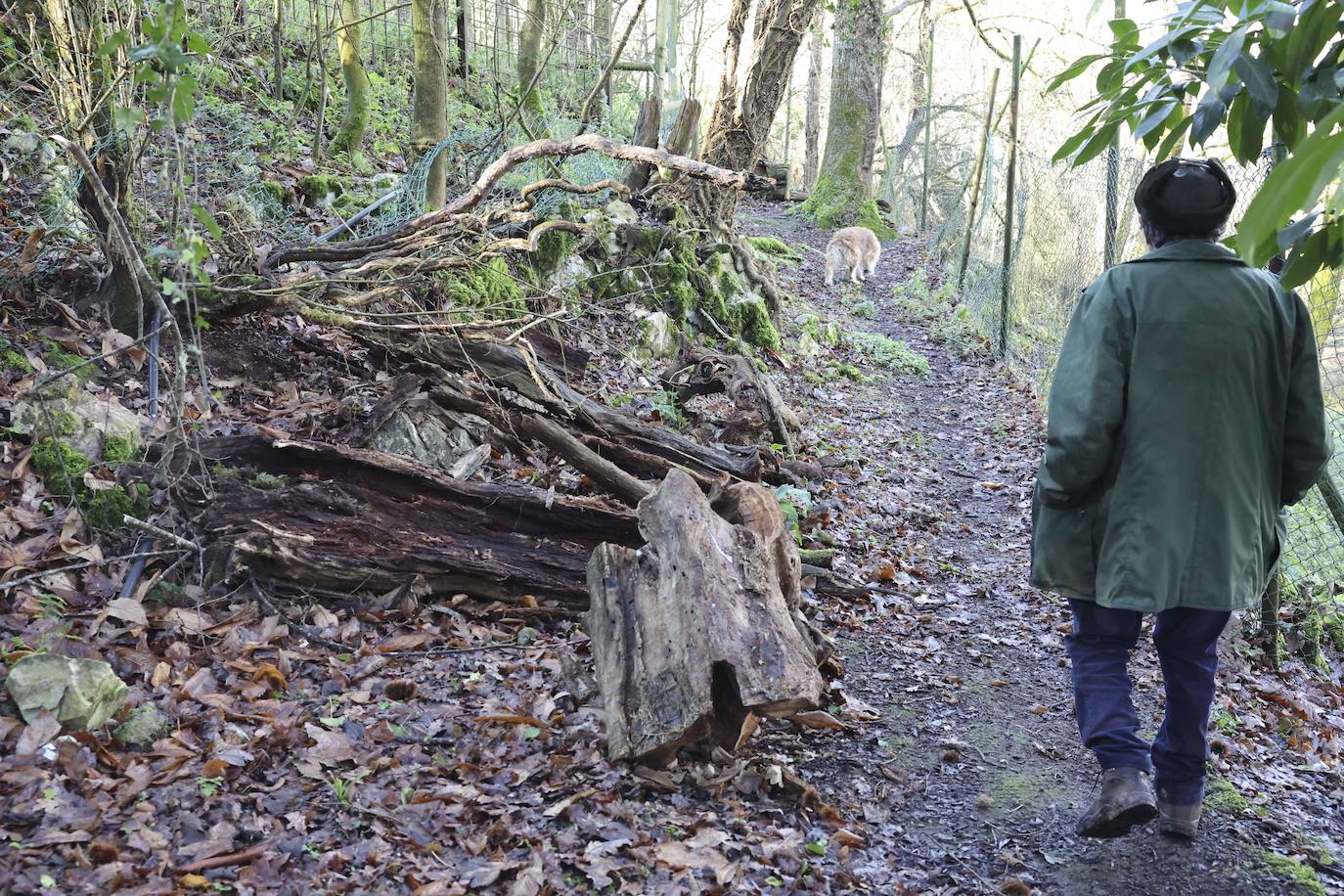 Fotos: El triste final del zoo de Cangas