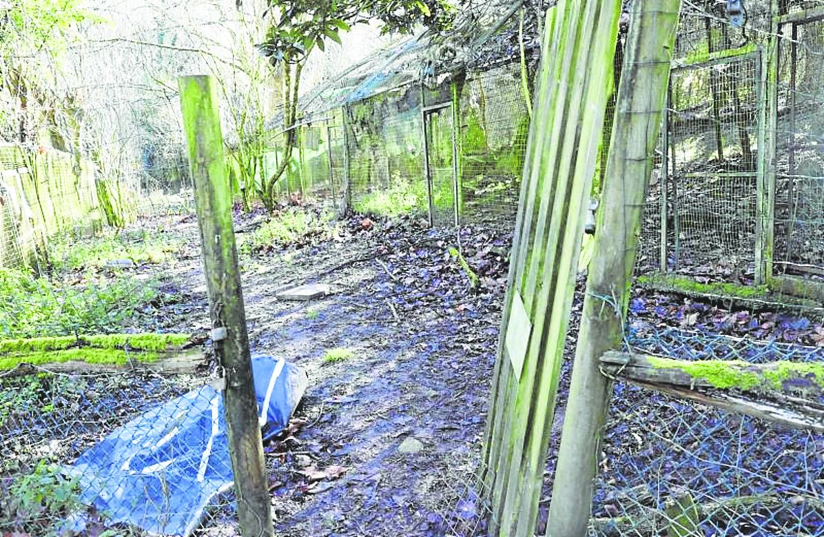 Imagen principal - El zoo de La Grandera cumple dos años cerrado Cangas de Onís